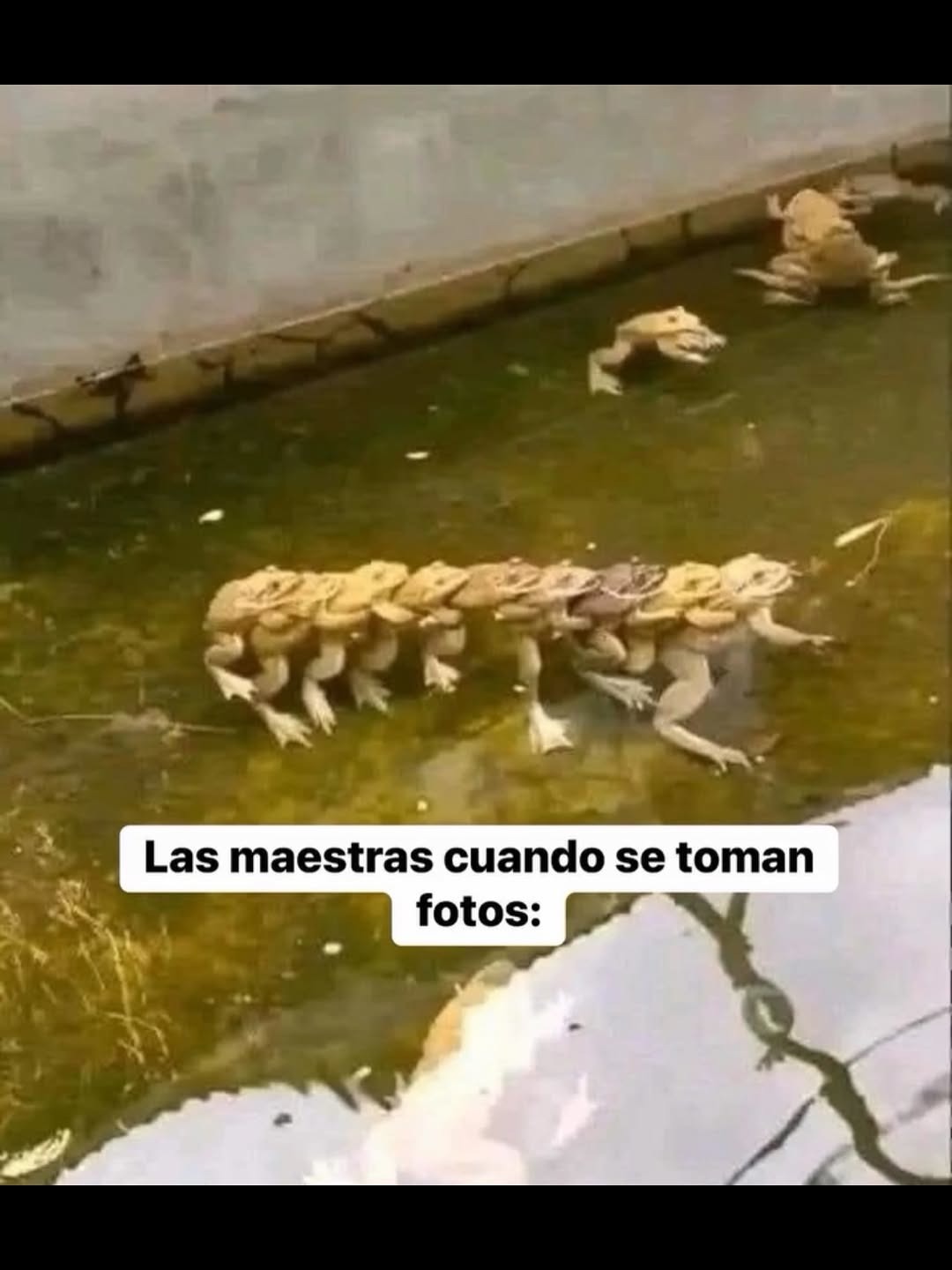 Las maestras cuando se toman fotos: