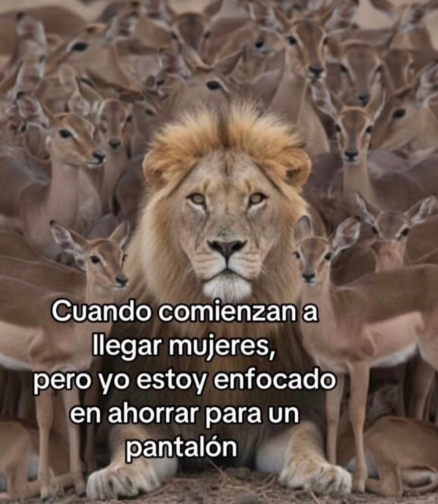 Cuando empiezan a llegar mujeres, pero yo estoy enfocado en ahorrar para un pantalón