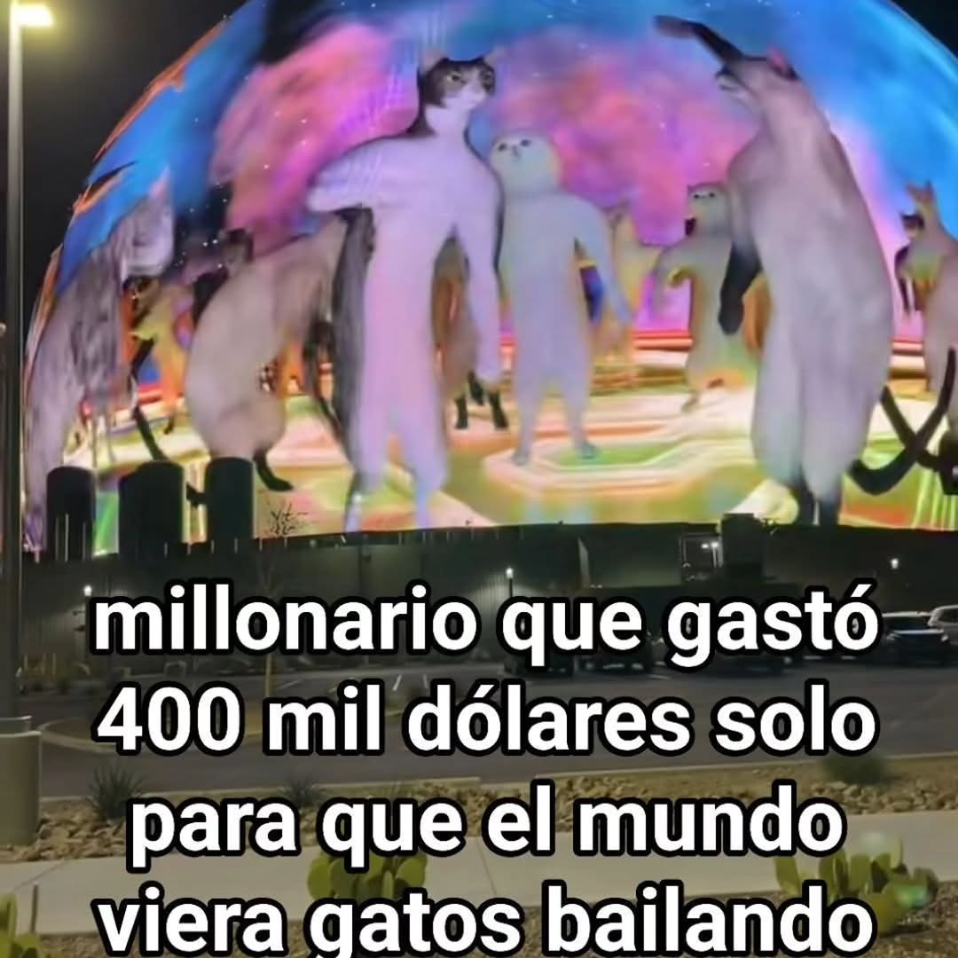 millonario que gastó 400 mil dólares solo para que el mundo vea gatos bailando