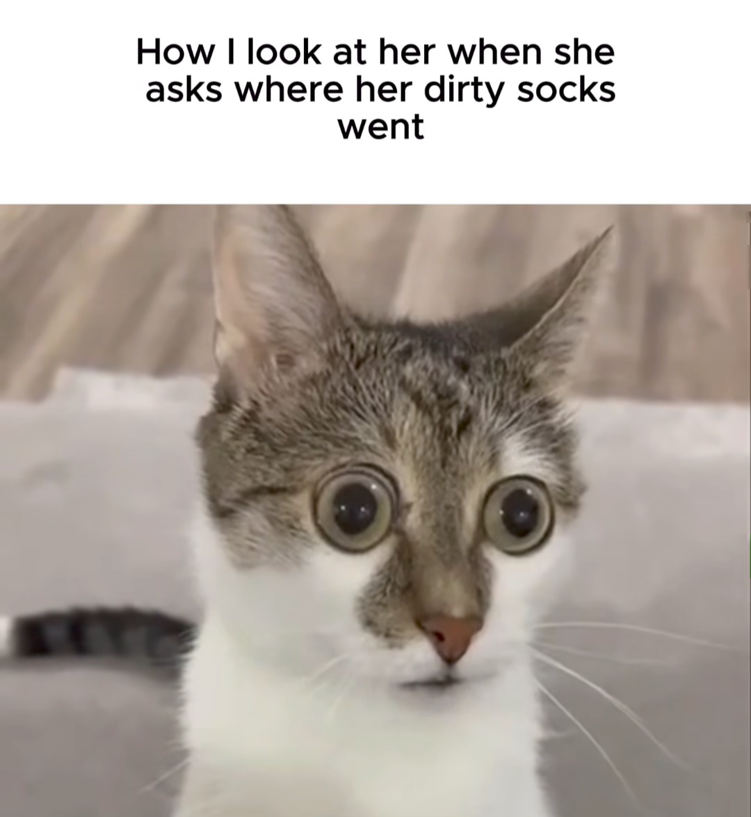 How I look at her when she asks where her dirty socks went