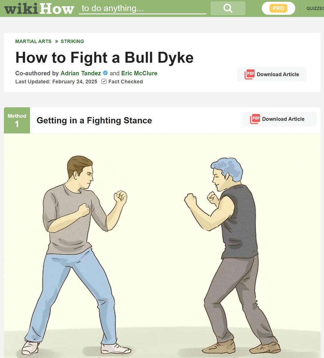 How to Fight a Bull Dyke
Co-authored by Adrian Tandez and Eric McClure
Last Updated: February 24, 2025
Fact Checked
Method 1: Getting in a Fighting Stance