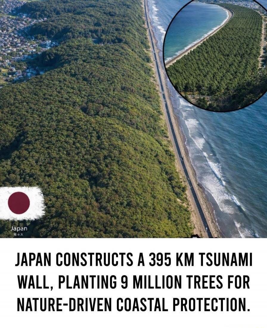 JAPAN CONSTRUCTS A 395 KM TSUNAMI WALL, PLANTING 9 MILLION TREES FOR NATURE-DRIVEN COASTAL PROTECTION.