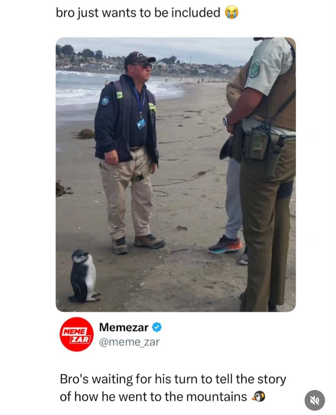 bro just wants to be included 😭

Bro's waiting for his turn to tell the story of how he went to the mountains 🐧