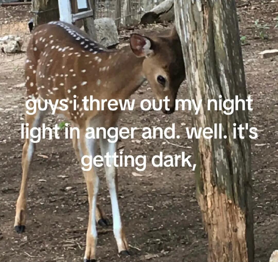 guys I threw out my night light in anger and, well, it's getting dark,