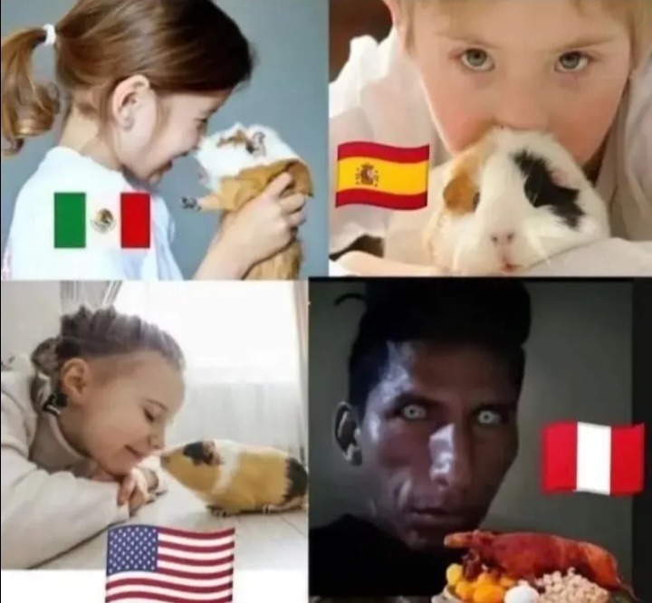 Niños con un conejillo de Indias, cada panel muestra una bandera: México, España, Estados Unidos y Perú.