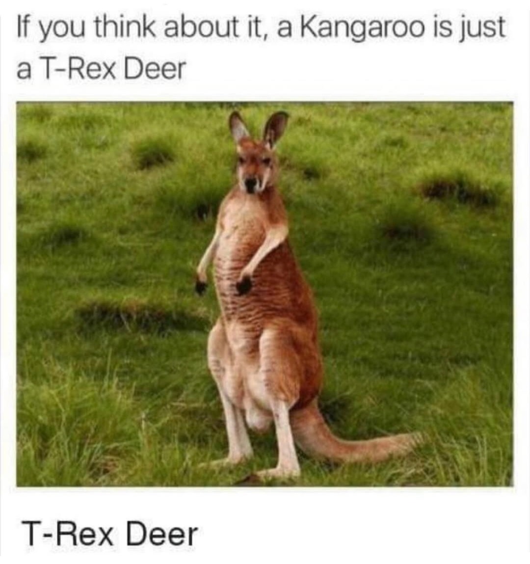 If you think about it, a Kangaroo is just a T-Rex Deer
T-Rex Deer