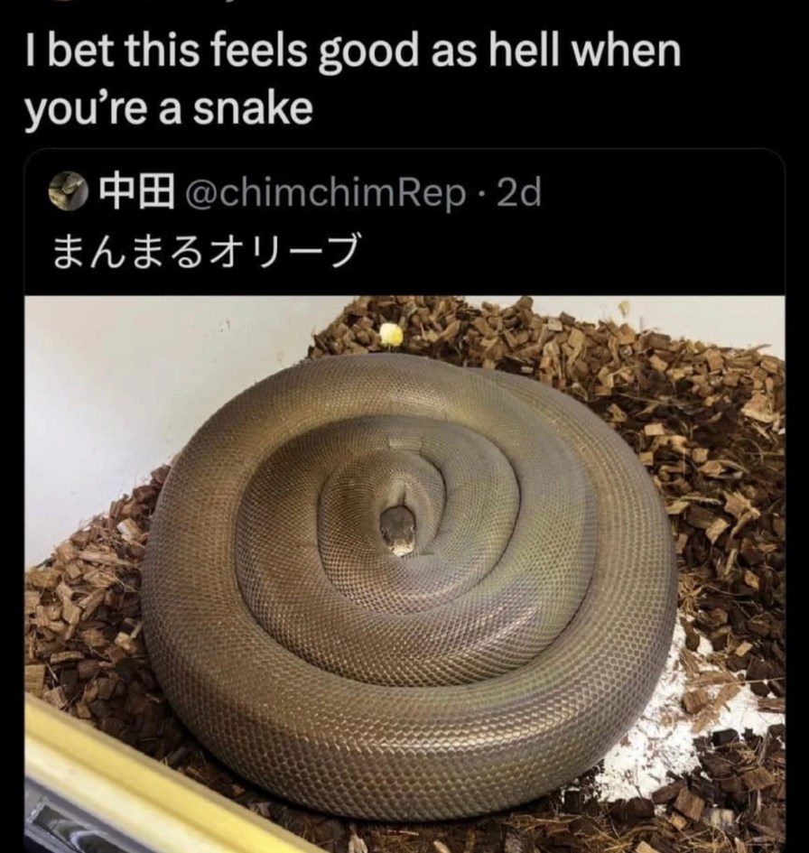 I bet this feels good as hell when you’re a snake\nまんまるオリーブ