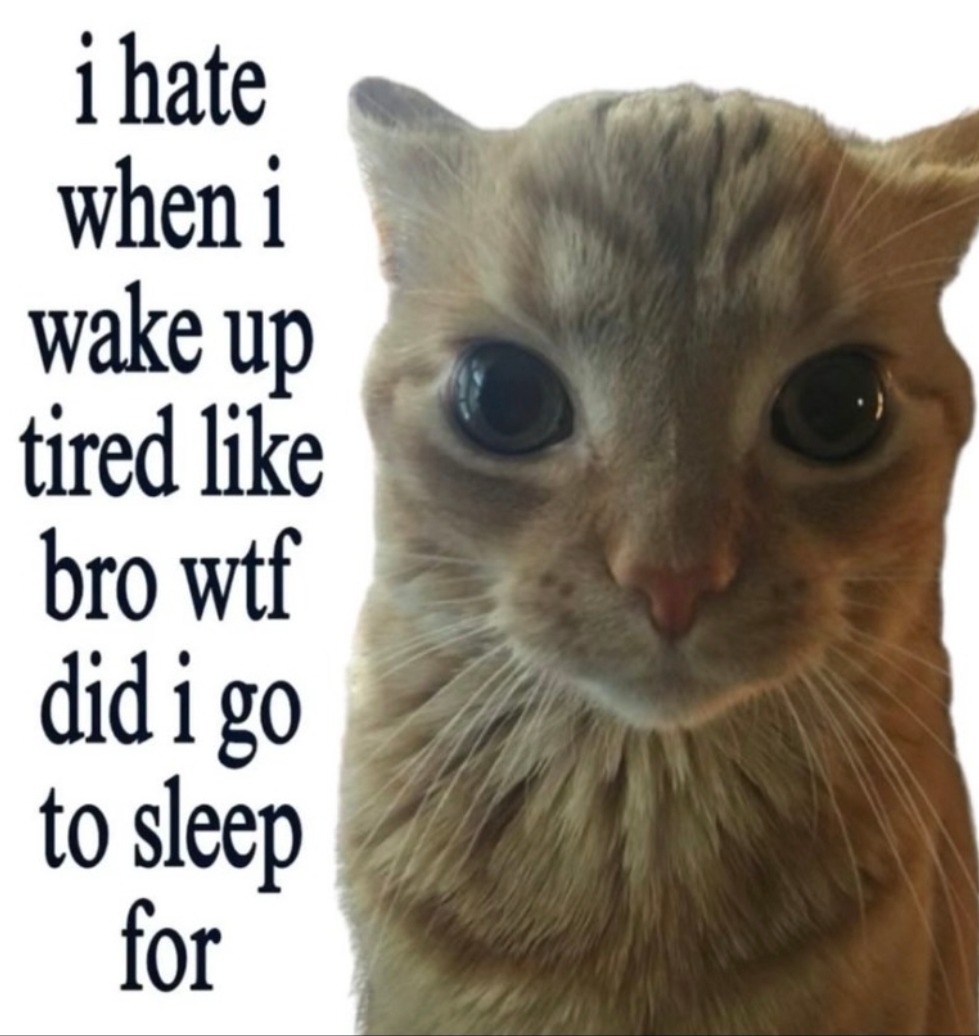 i hate when i wake up tired like bro wtf did i go to sleep for