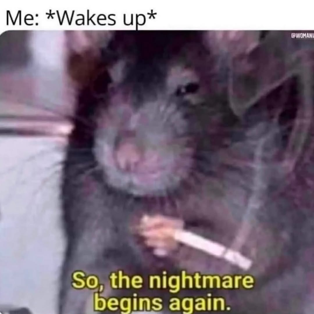 Me: *Wakes up* So, the nightmare begins again.