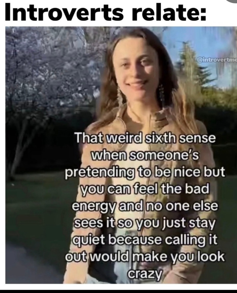 Introverts relate: That weird sixth sense when someone's pretending to be nice but you can feel the bad energy and no one else sees it so you just stay quiet because calling it out would make you look crazy
