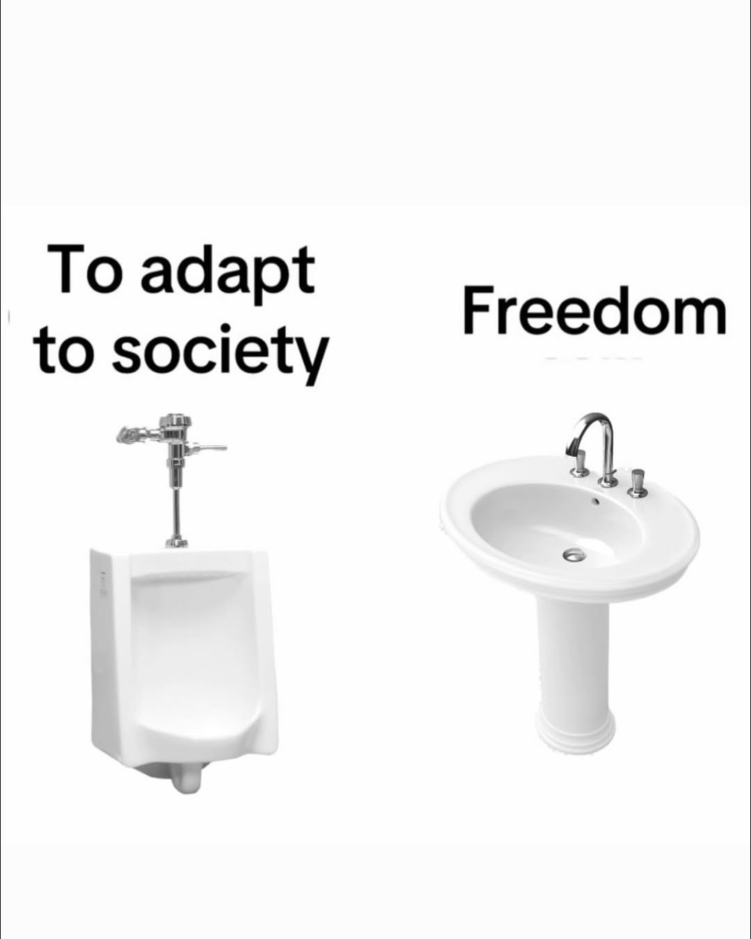 To adapt to society
Freedom
