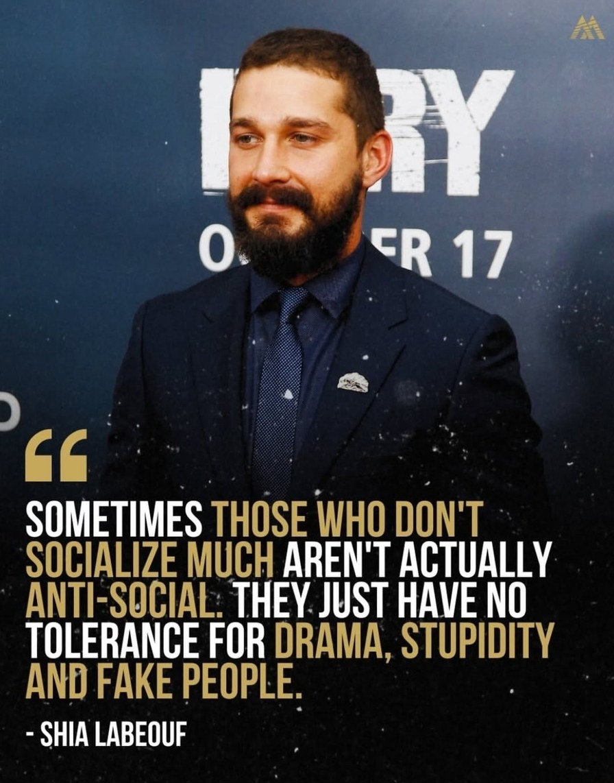 Sometimes those who don't socialize much aren't actually anti-social. They just have no tolerance for drama, stupidity and fake people. - Shia LaBeouf