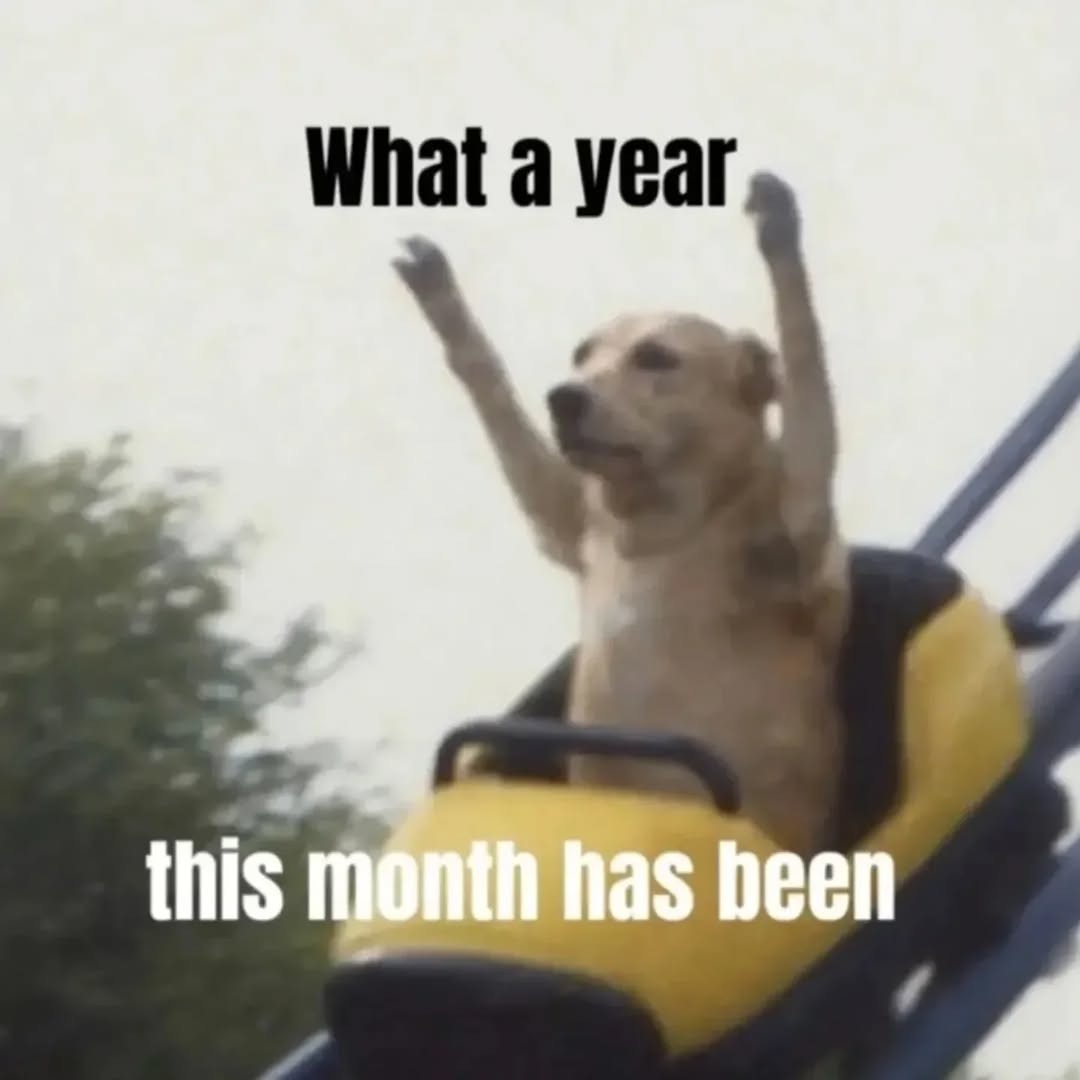 What a year this month has been