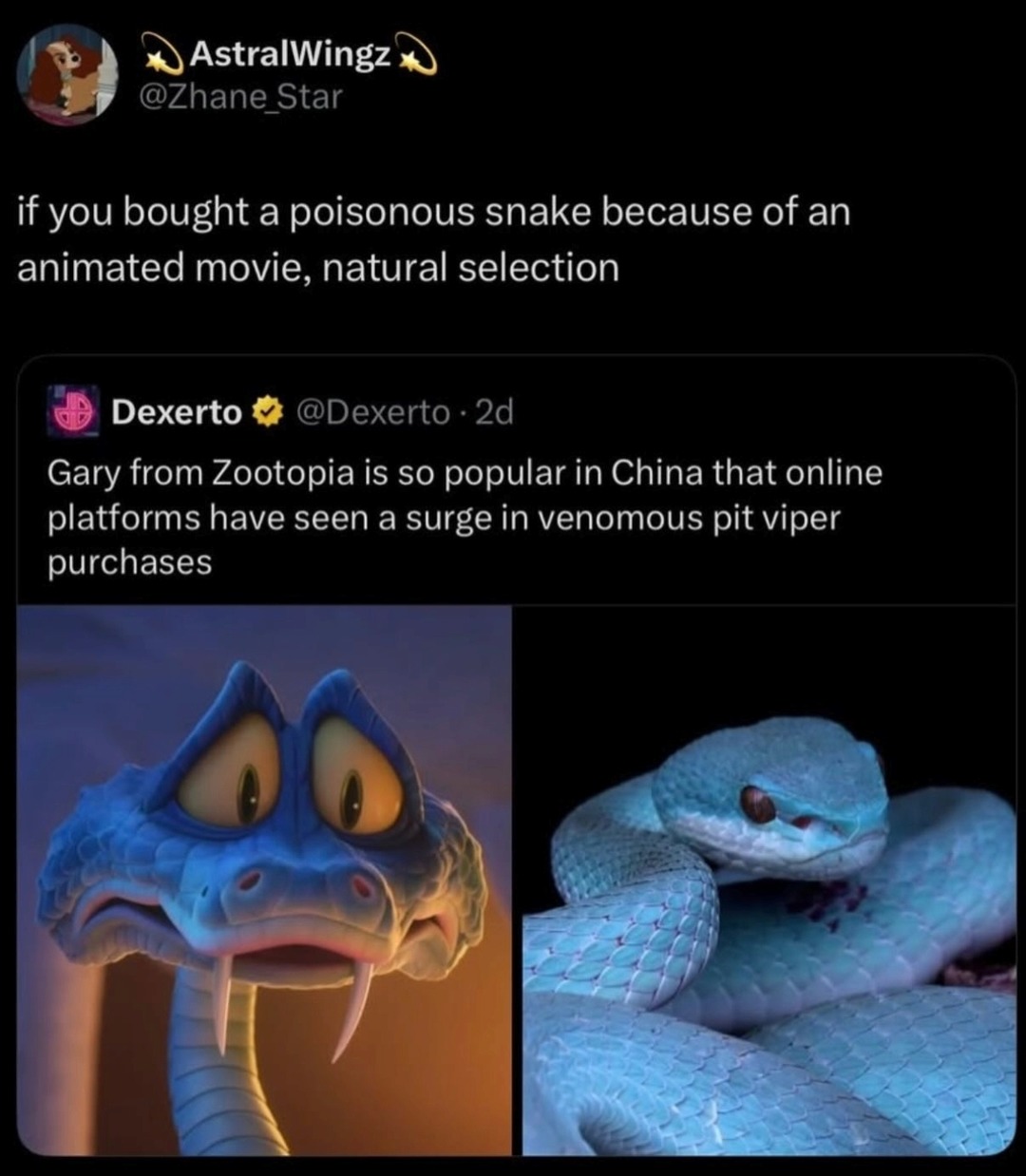 if you bought a poisonous snake because of an animated movie, natural selection

Gary from Zootopia is so popular in China that online platforms have seen a surge in venomous pit viper purchases