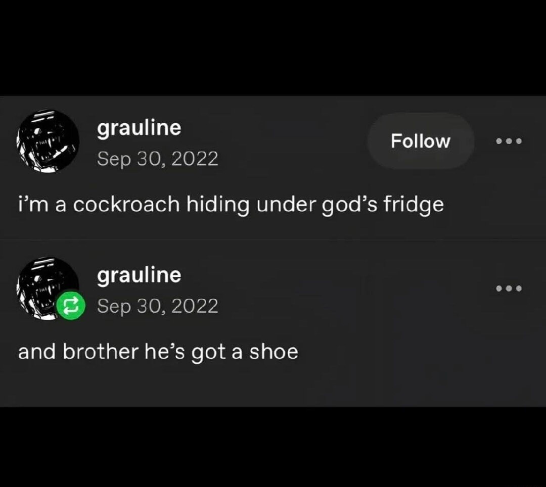 i'm a cockroach hiding under god's fridge
and brother he's got a shoe