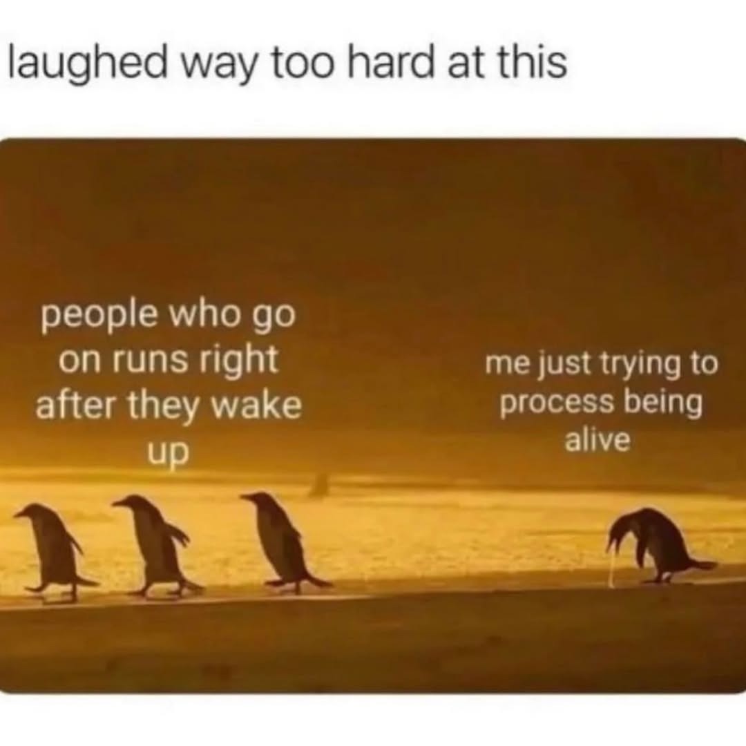 laughing way too hard at this
people who go on runs right after they wake up
me just trying to process being alive