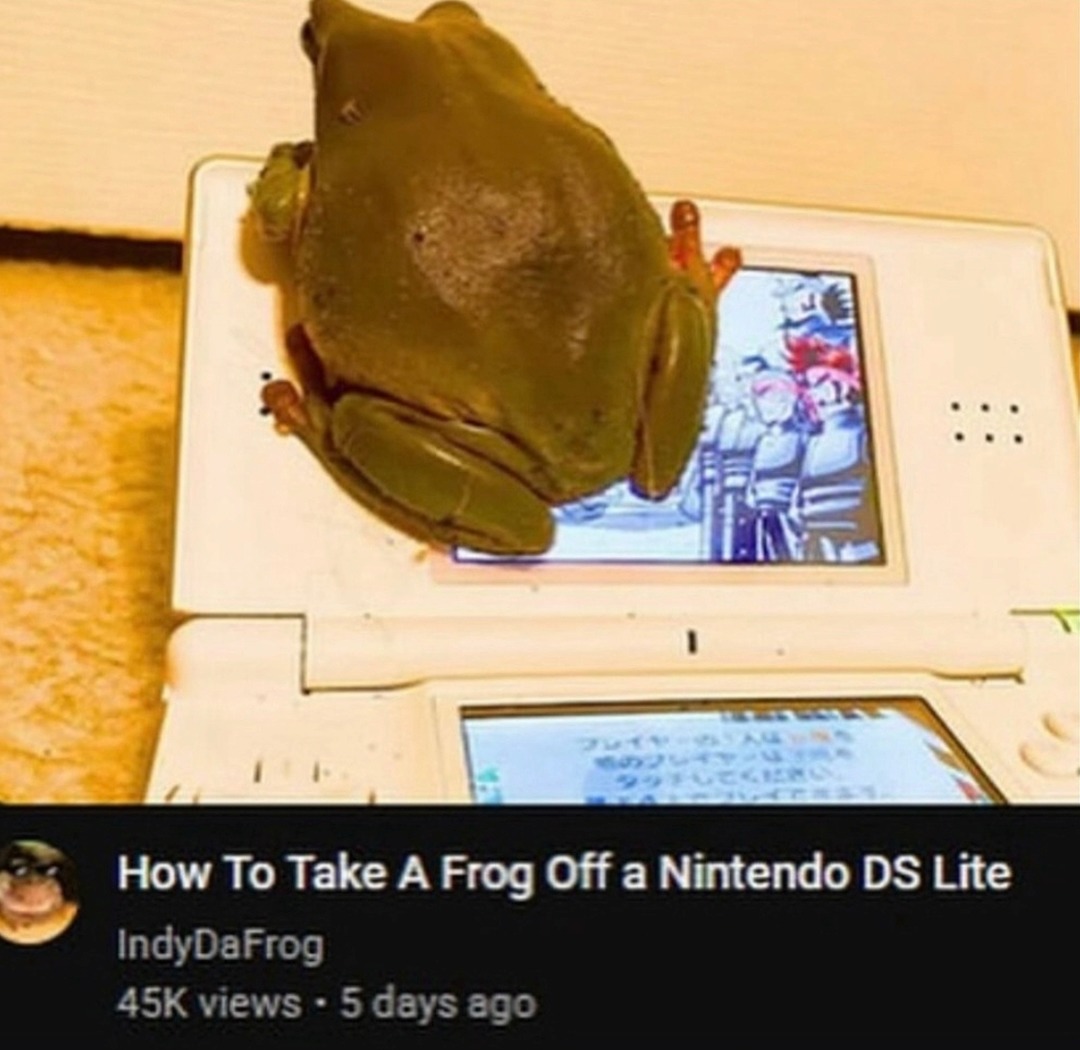 How To Take A Frog Off a Nintendo DS Lite IndyDaFrog 45K views - 5 days ago