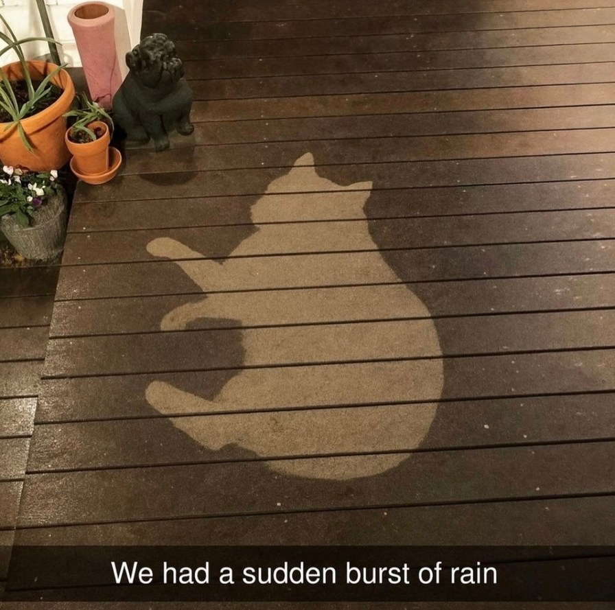 We had a sudden burst of rain