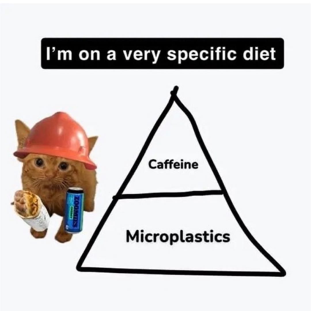 I'm on a very specific diet
Caffeine
Microplastics