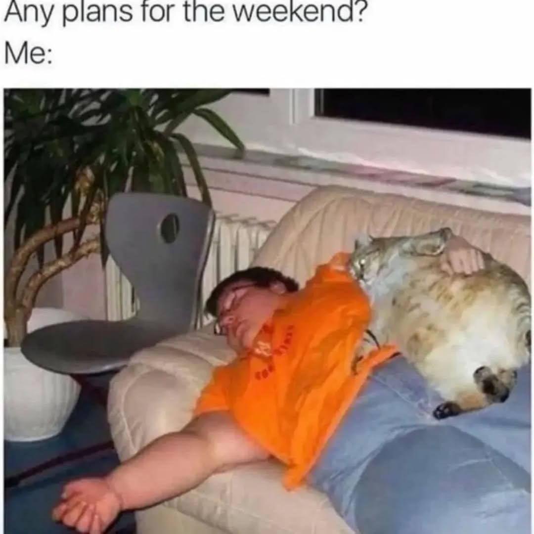 Any plans for the weekend? Me: