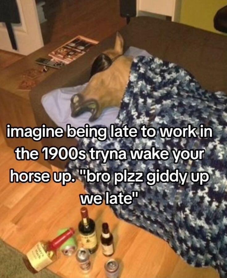 imagine being late to work in the 1900s tryna wake your horse up. 