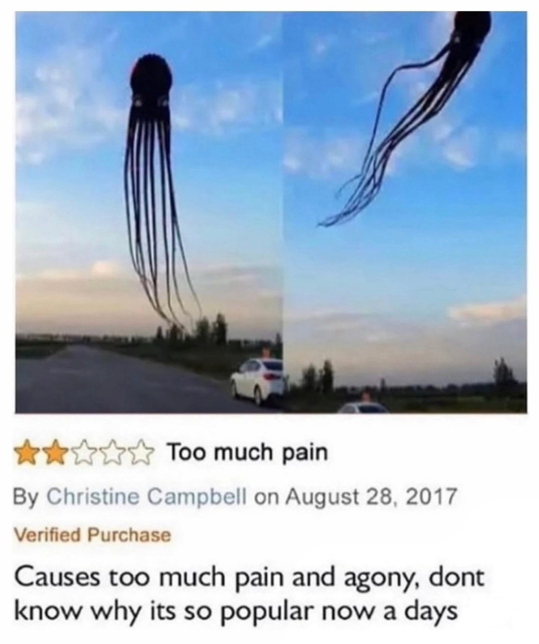 Too much pain
By Christine Campbell on August 28, 2017
Verified Purchase
Causes too much pain and agony, dont know why its so popular now a days