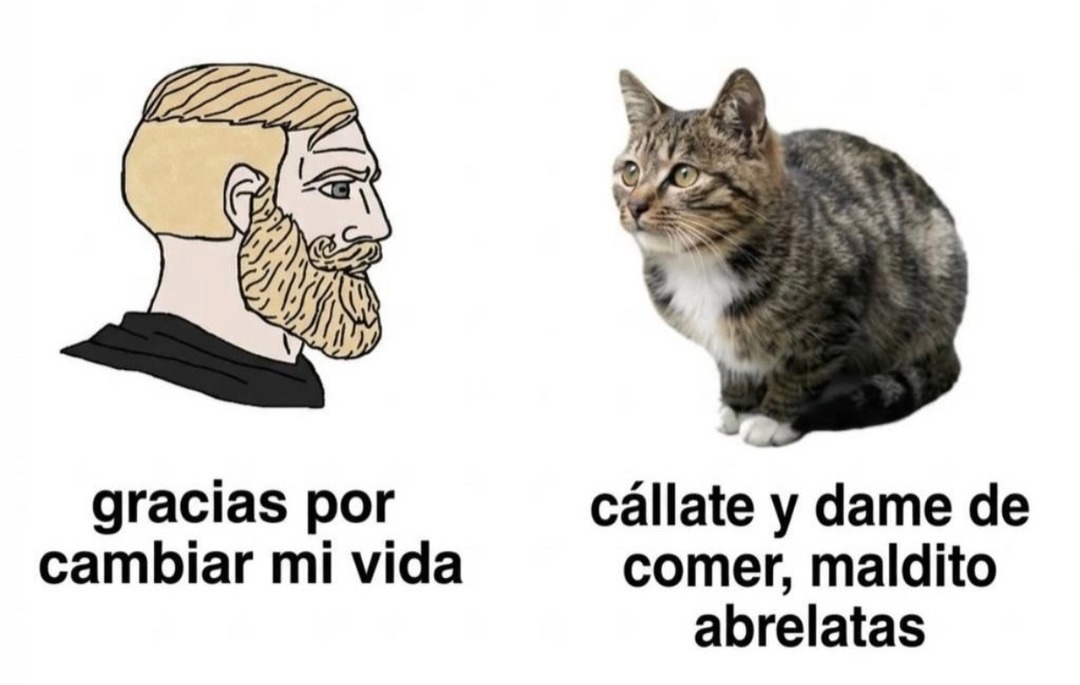 gracias por cambiar mi vida
cállate y dame de comer, maldito abrelatas