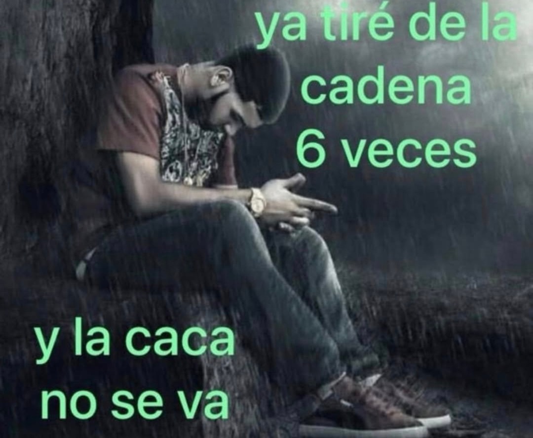 ya tiré de la cadena 6 veces
y la caca no se va