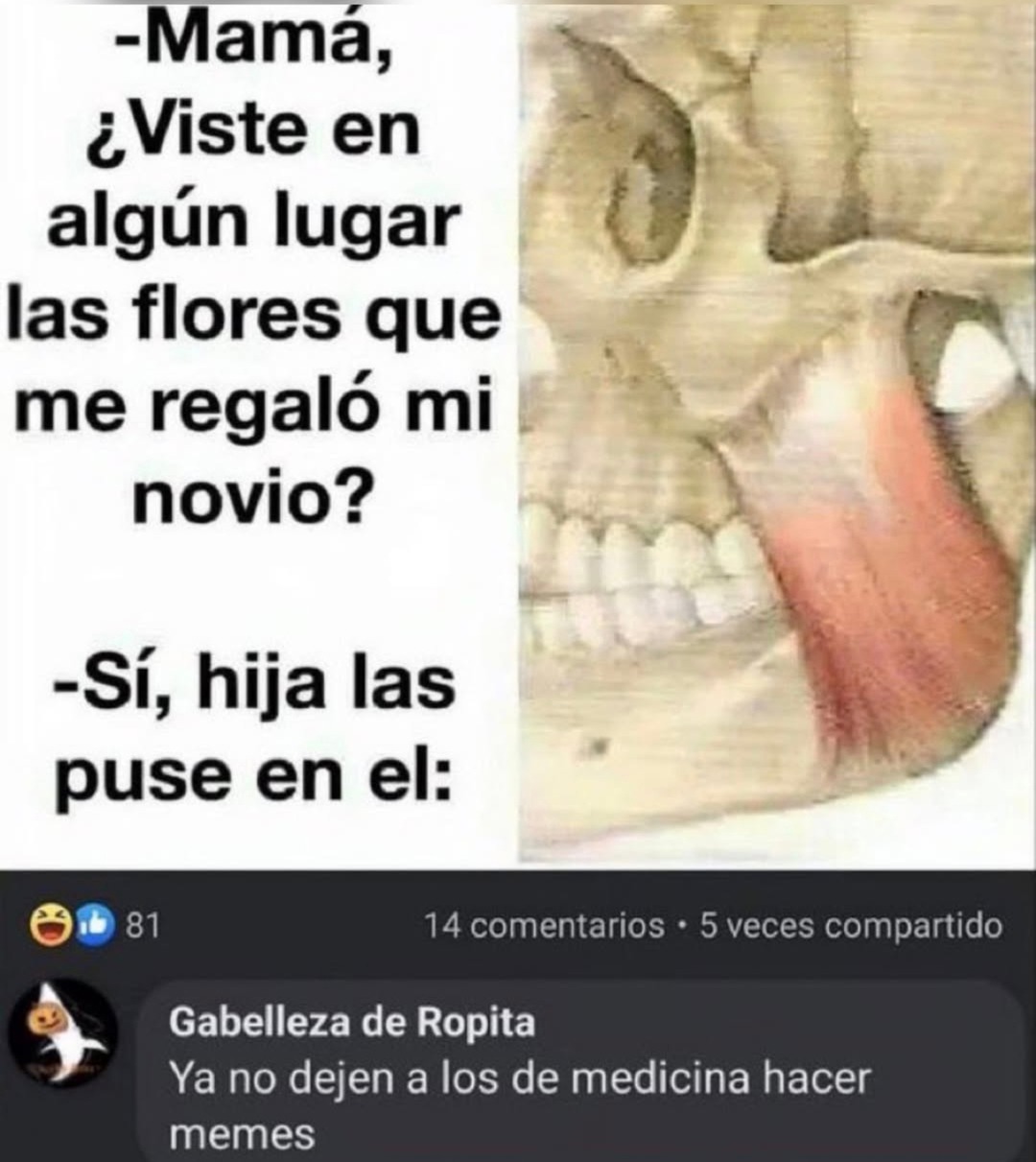 -Mamá, ¿Viste en algún lugar las flores que me regaló mi novio? -Sí, hija las puse en el: