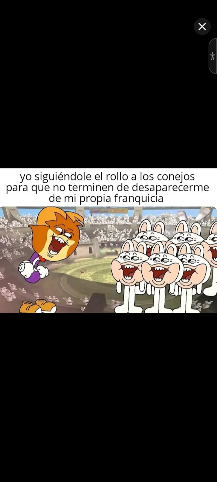 yo siguiéndole el rollo a los conejos para que no terminen de desaparecerme de mi propia franquicia