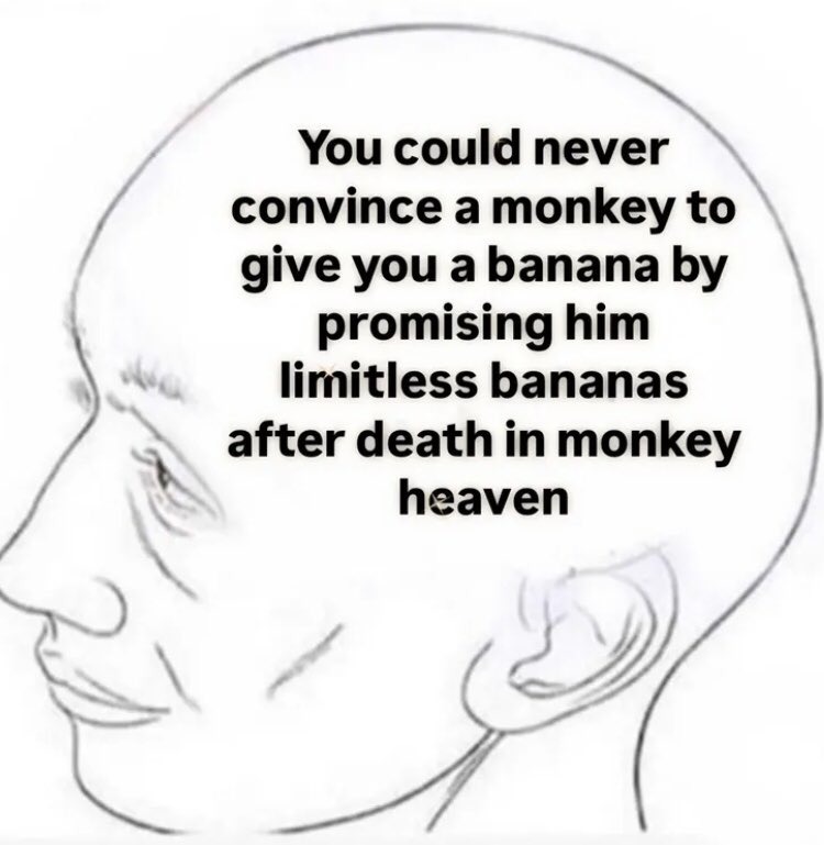 You could never convince a monkey to give you a banana by promising him limitless bananas after death in monkey heaven