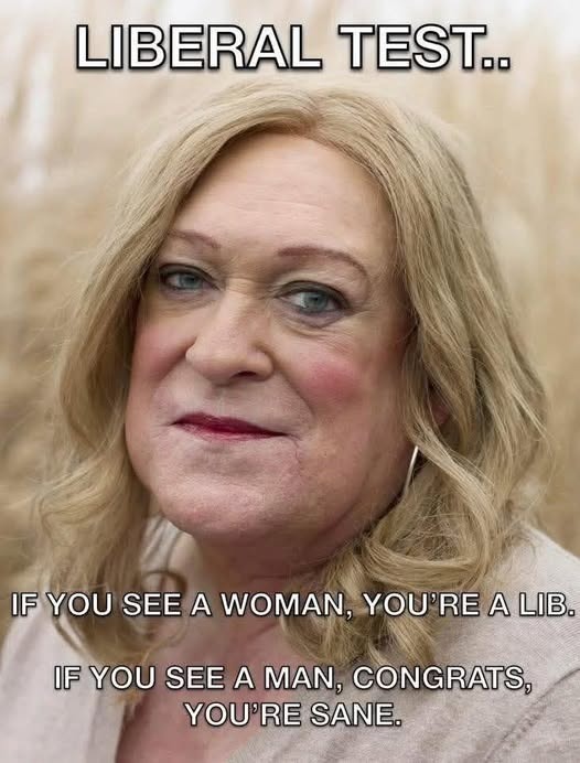 LIBERAL TEST.. IF YOU SEE A WOMAN, YOU'RE A LIB. IF YOU SEE A MAN, CONGRATS, YOU'RE SANE.