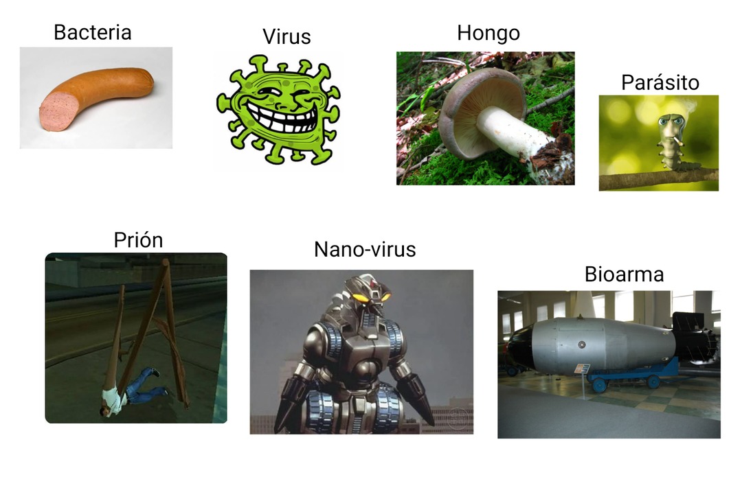 Bacteria Virus Hongo Parásito Prión Nano-virus Bioarma