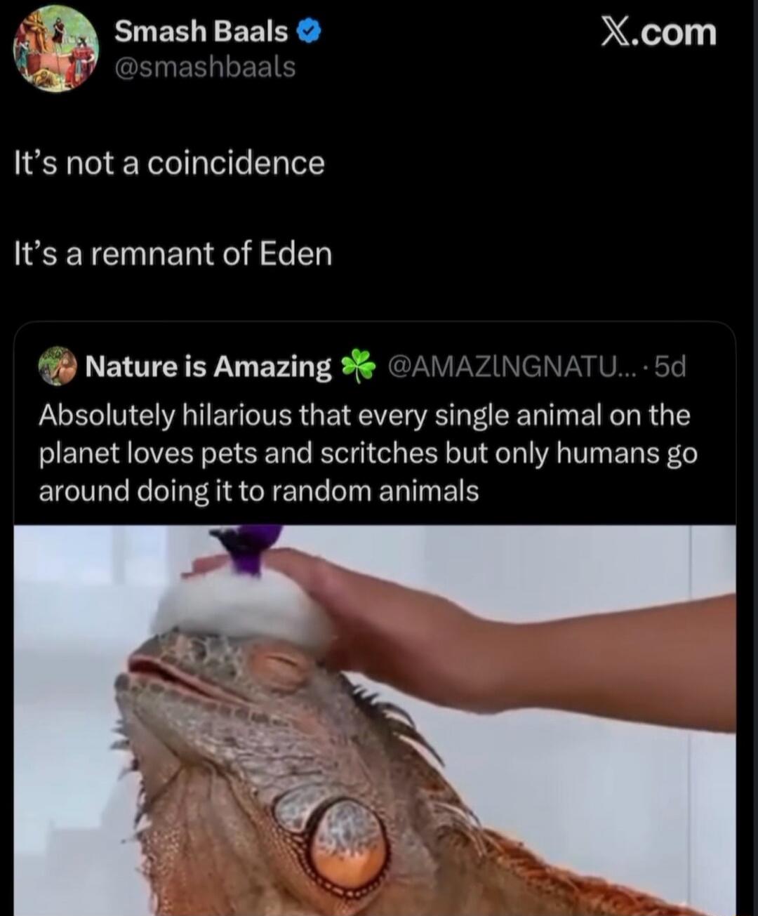 It's not a coincidence
It's a remnant of Eden
Absolutely hilarious that every single animal on the planet loves pets and scritches but only humans go around doing it to random animals