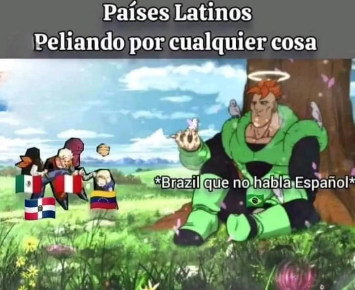 Países Latinos Peliando por cualquier cosa
*Brazil que no habla Español*