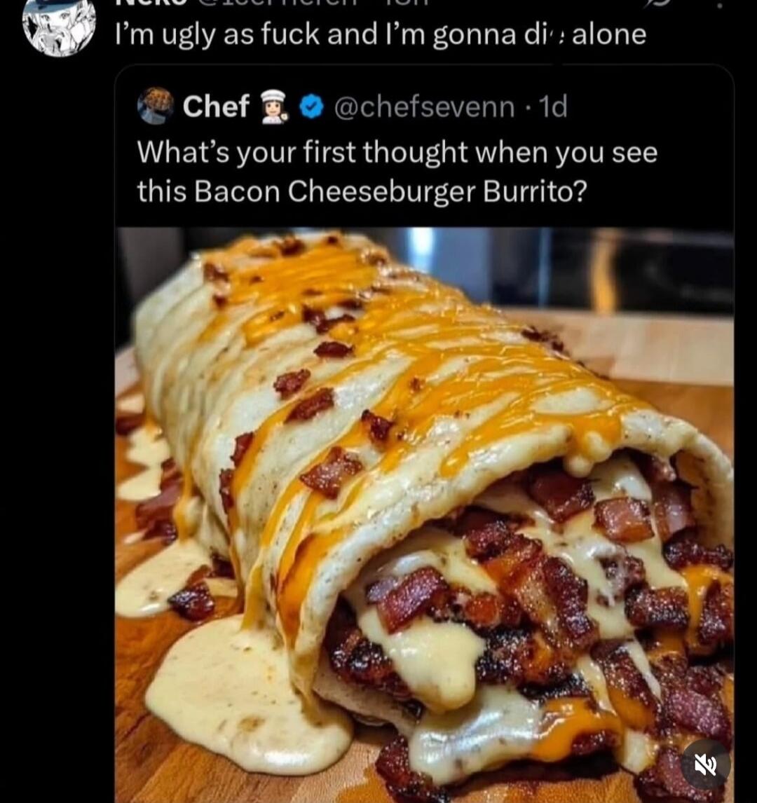 I'm ugly as fuck and I'm gonna die alone
What's your first thought when you see this Bacon Cheeseburger Burrito?