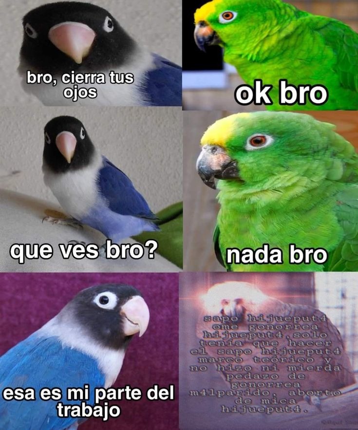 bro, cierra tus ojos
ok bro
que ves bro?
nada bro
esa es mi parte del trabajo
[unreadable text]