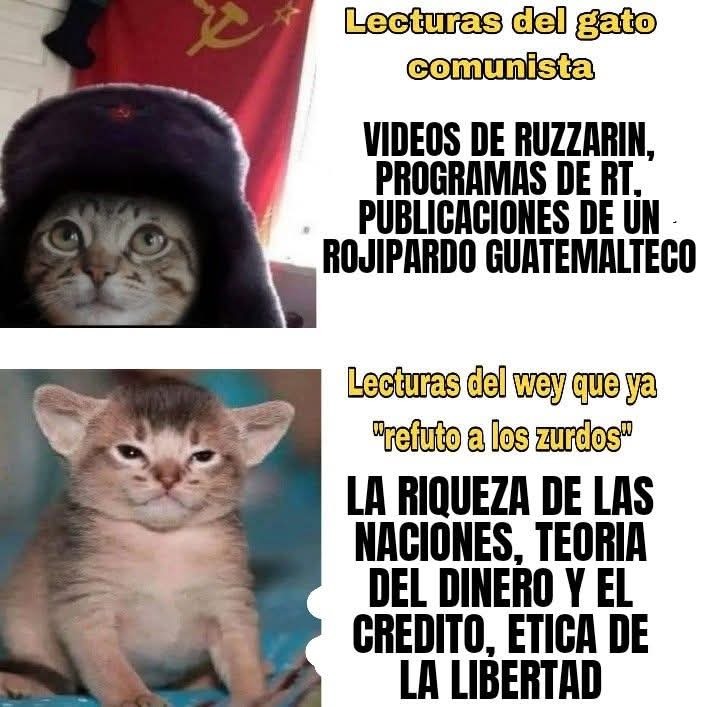 Lecturas del gato comunista
VIDEOS DE RUZZARIN, PROGRAMAS DE RT, PUBLICACIONES DE UN ROJIPARDO GUATEMALTECO

Lecturas del wey que ya 