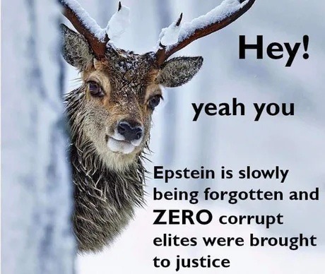 Hey! yeah you Epstein is slowly being forgotten and ZERO corrupt elites were brought to justice