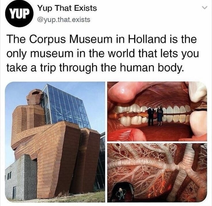 The Corpus Museum in Holland is the only museum in the world that lets you take a trip through the human body.