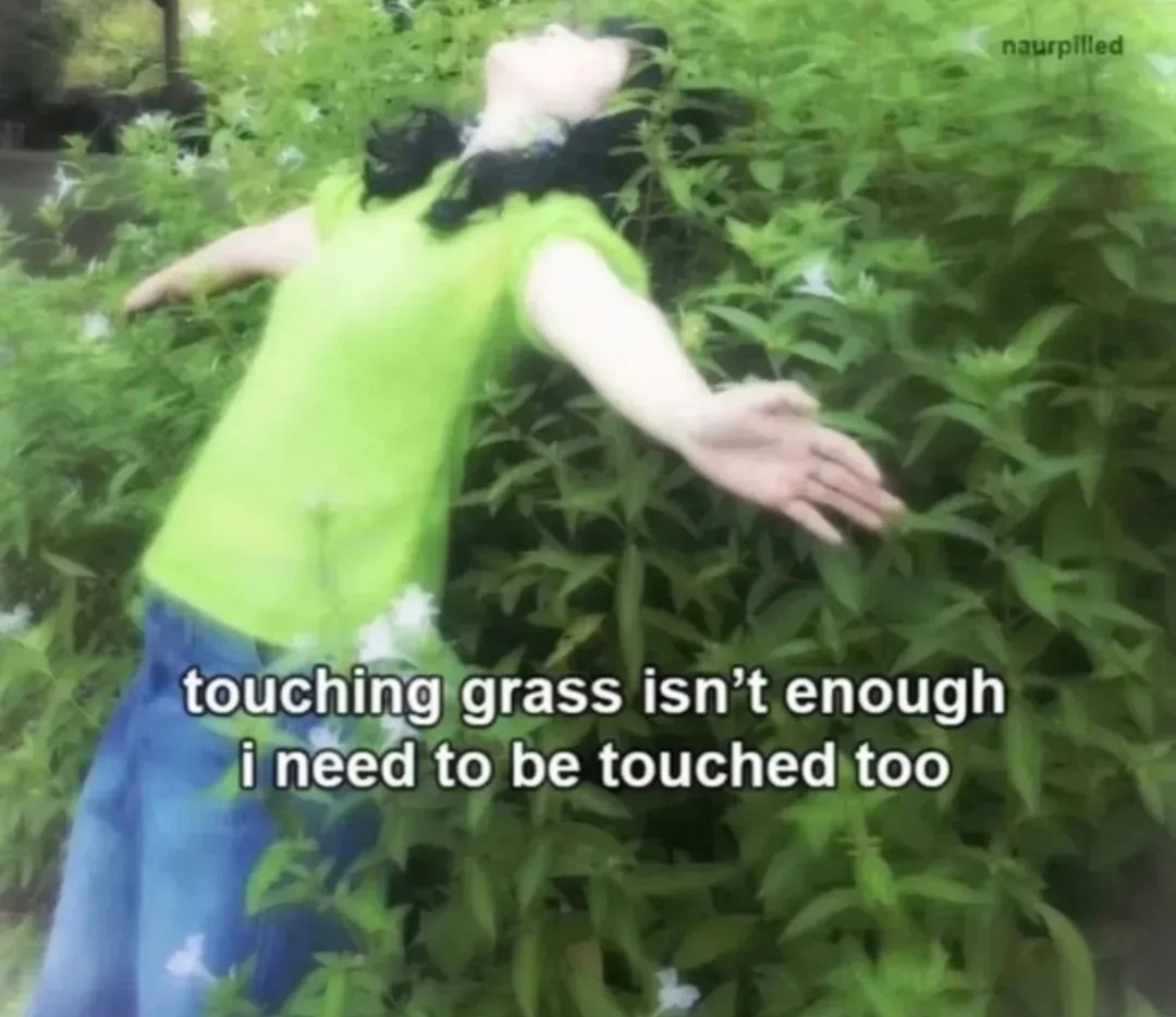touching grass isn't enough i need to be touched too