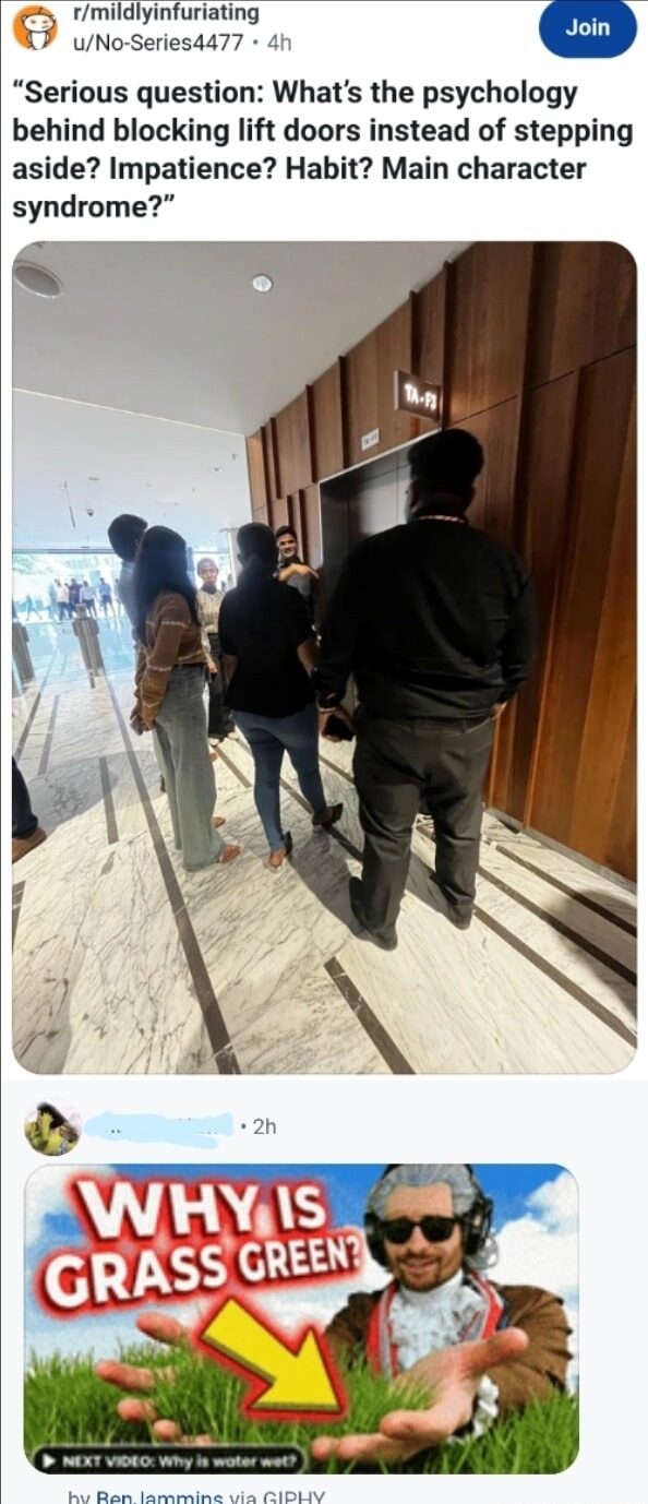 “Seriously question: What’s the psychology behind blocking lift doors instead of stepping aside? Impatience? Habit? Main character syndrome?”

WHY IS GRASS GREEN?
