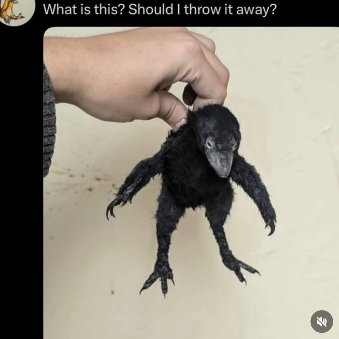 What is this? Should I throw it away?