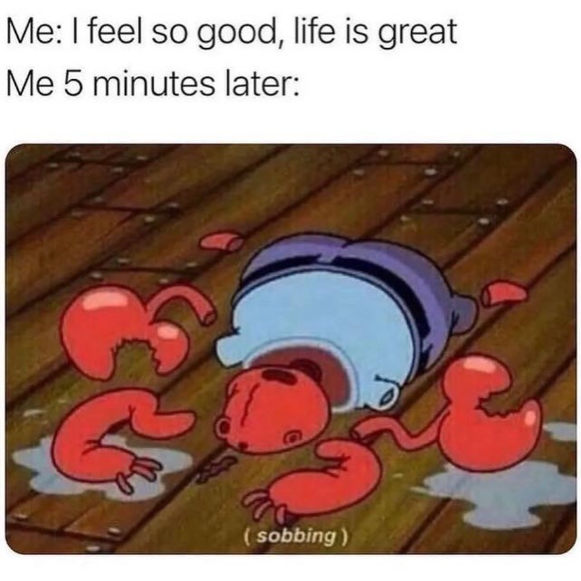 Me: I feel so good, life is great
Me 5 minutes later:
(sobbing)