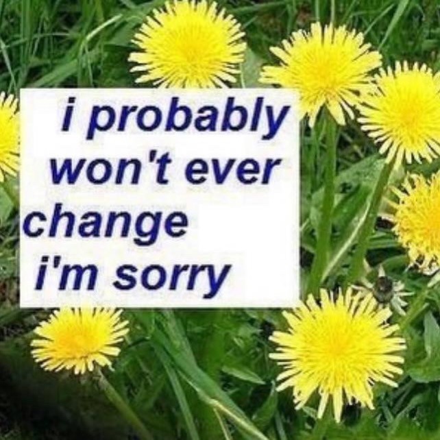 i probably won't ever change i'm sorry