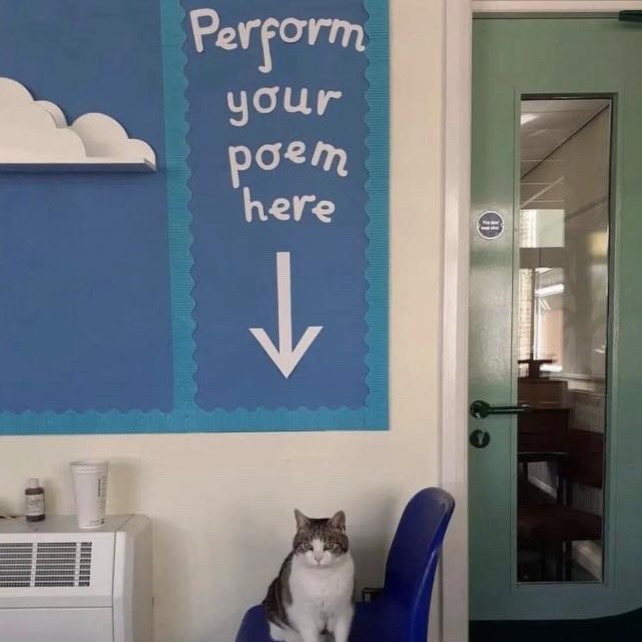 Perform your poem here ↓