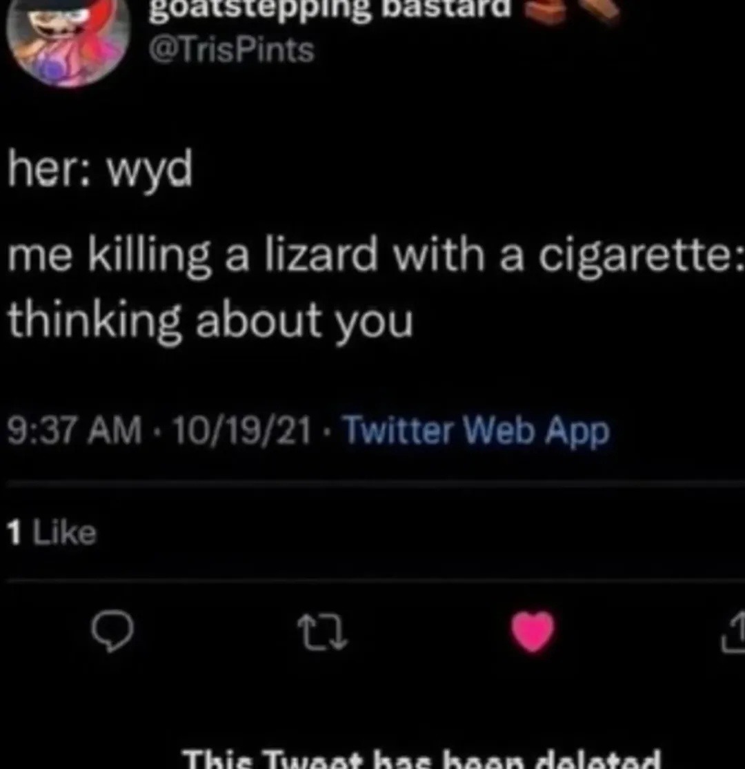 her: wyd me killing a lizard with a cigarette: thinking about you