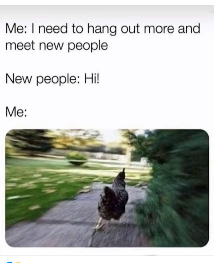 Me: I need to hang out more and meet new people
New people: Hi!
Me:

[image of a chicken running away]