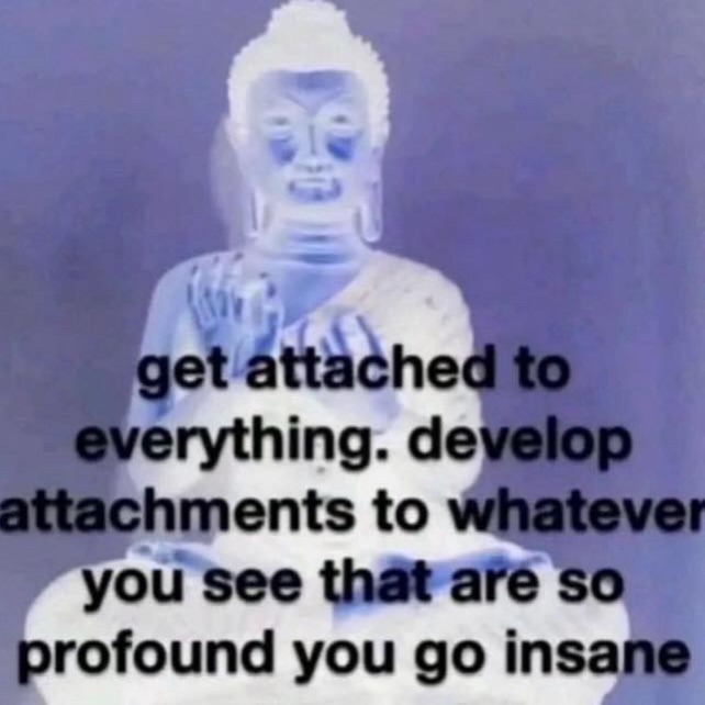 get attached to everything. develop attachments to whatever you see that are so profound you go insane