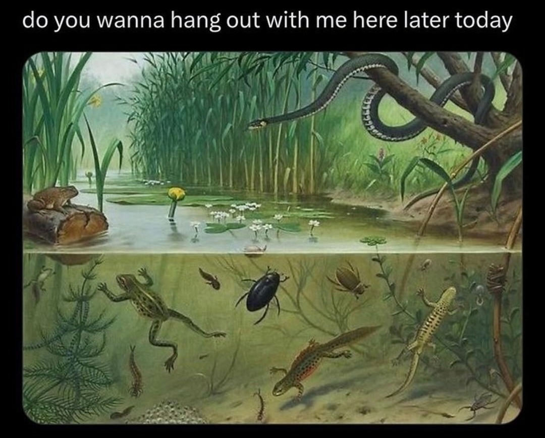 do you wanna hang out with me here later today